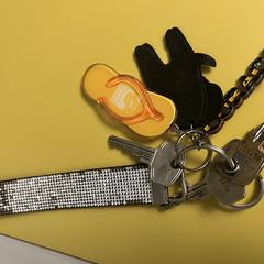 Sleutelbos Zomervaart Haarlem an iLost gemeldet