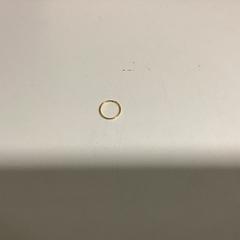 Eraztuna - 070525 BILLIE3, gisa salatu by Ziggo Dome iLost erabiliz