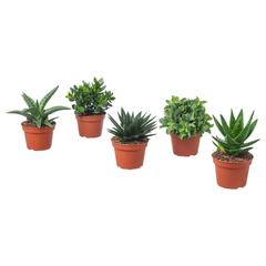 Produkt IKEA, ako bolo nahlásené IKEA Hasselt pomocou iLost