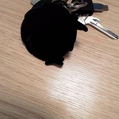 Klíče, jak nahlášeno Qbuzz Fryslân pomocí iLost