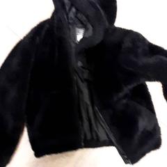 Jacket, as reported by Diergaarde Blijdorp using iLost
