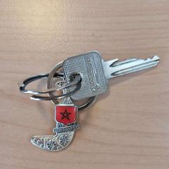 Chaves, segundo informou Regio Oost-Vlaanderen usando iLost