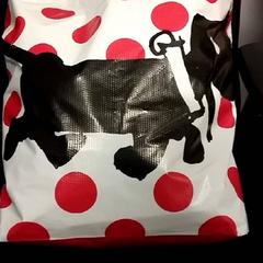 İLost kullanarak RET tarafından bildirildiği gibi Çanta