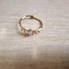 Gouden ring, rapporterat av Gemeente Renkum med iLost