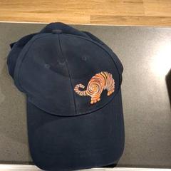 كاسكيت، كما تم الإبلاغ عنه بواسطة Breng Nijmegen عبر iLost