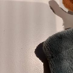 Peluche, come riportato da De Efteling utilizzando iLost