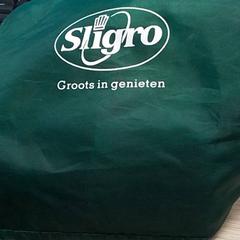 Rugtas Groen, gisa salatu by Qbuzz Fryslân iLost erabiliz
