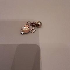 Earring Goud, as reported by Van der Valk Hotel Schiphol using iLost