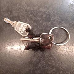 Klíče, jak nahlášeno Rotterdam The Hague Airport pomocí iLost