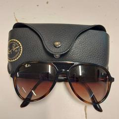 نظارات شمسية Rayban، كما تم الإبلاغ عنه بواسطة Avonturenpark Hellendoorn عبر iLost