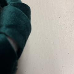 Oorwarmers, zoals gemeld door GVB met iLost