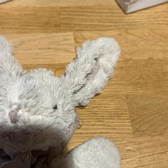 Knuffel, as reported by Designer Outlet Roermond using iLost