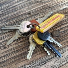 Sleutelbos, som rapportert til iLost