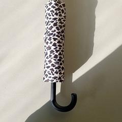 Paraply, som rapportert av Regio Limburg - Leuven ved bruk av iLost