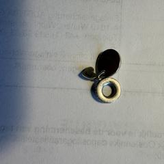 Hangertje M erop en datum 30/6/22, amint azt az iLostnak jelentették.