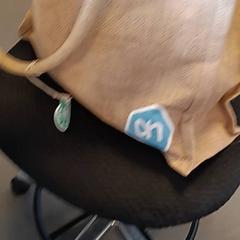 Borsa, come riportato da U-OV Amersfoort utilizzando iLost