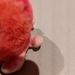 Kosete leke, som rapportert av De Efteling ved bruk av iLost