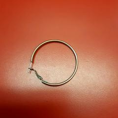 Arracada, segons ha informat UvA REC mitjançant iLost