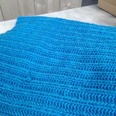 Colsjaal blauw, zoals gemeld door Arriva Friesland / Groningen met iLost