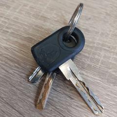 Gakoa, gisa salatu by EBS OV Poeldijk iLost erabiliz