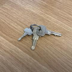 Llave, ha sido reportado por Gemeente Alkmaar con iLost