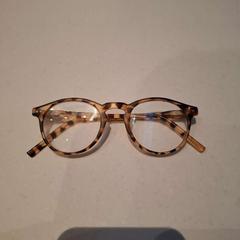 Lunettes, a été signalé par Rijksmuseum van Oudheden utilisant iLost