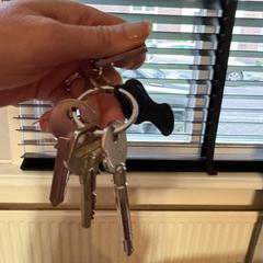 Sleutelhoes met sleutels, iLost-i jakinarazi zaion moduan