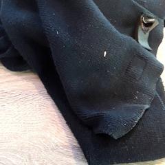 숄, iLost를 사용하여 EBS Tramplein에 보고됨