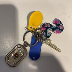 Chiavi, come riportato da Gemeente Amsterdam utilizzando iLost