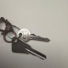 Clé, a été signalé par ilévia utilisant iLost