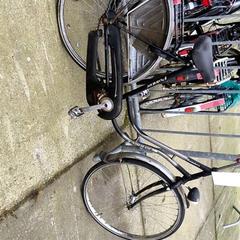 Bici da donna Pointer, come riportato da Stadswerk072 utilizzando iLost