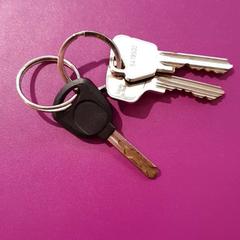 Chaves, como reportado por Gemeente Oost Gelre utilizando o iLost