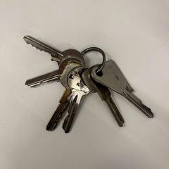 المفاتيح (متنوعة)، كما تم الإبلاغ عنه بواسطة BANKS Antwerp عبر iLost