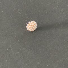 Arracada, segons ha informat hoop Kirche - Campus Achim mitjançant iLost