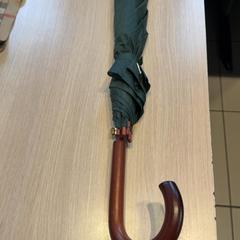 Papaplu Groen, rapporterat av Regio Limburg - Leuven med iLost