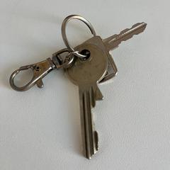 Llaves, ha sido reportado por Gemeente Noordwijk con iLost