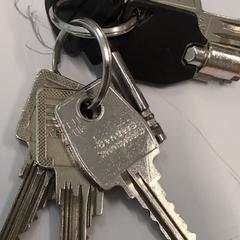 Sleutelbos, jak bylo nahlášeno na iLost