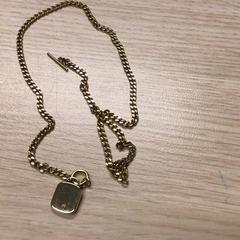 Ketting, ako bolo nahlásené Gemeente Arnhem pomocou iLost