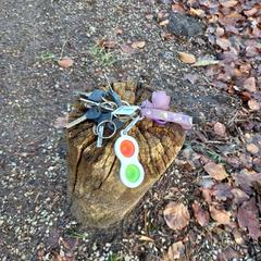 Sleutelbos met Simple Dimple+fietsstallingkaart, as reported to iLost