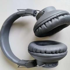 Fejhallgató grijs, amint azt Regio Limburg - Leuven az iLost segítségével jelentette.