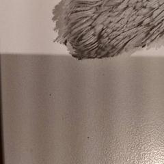 كنوفل، كما تم الإبلاغ عنه بواسطة De Efteling عبر iLost