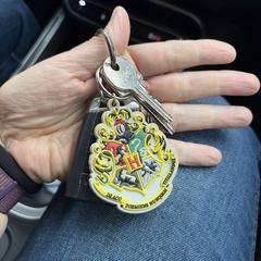 Car and house keys, iLost에 보고됨