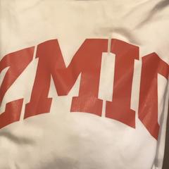 Košeľu T-shirt, ako bolo nahlásené MEININGER Hotel Brussels City Center pomocou iLost