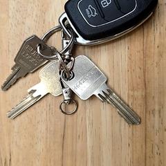 Klucz Auto, locker en huis., zgłoszono przez Gemeente Wageningen przy użyciu iLost