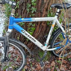 Fiets, ako bolo nahlásené iLost