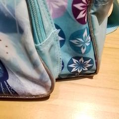 Bag Frozen, as reported by Beekse Bergen Resorts en Hotel using iLost