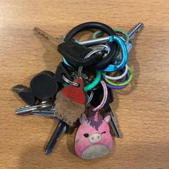 İLost kullanarak Gemeente Amsterdam tarafından bildirildiği gibi Anahtarlar