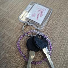 Sleutels, zoals gemeld door EBS OV Poeldijk met iLost