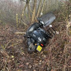 Scooter, as reported to iLost