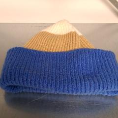 Sang, som rapportert av Keolis Lund ved bruk av iLost